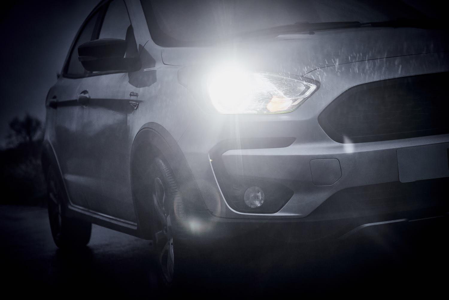 Ring Pro LED250 Bulbs